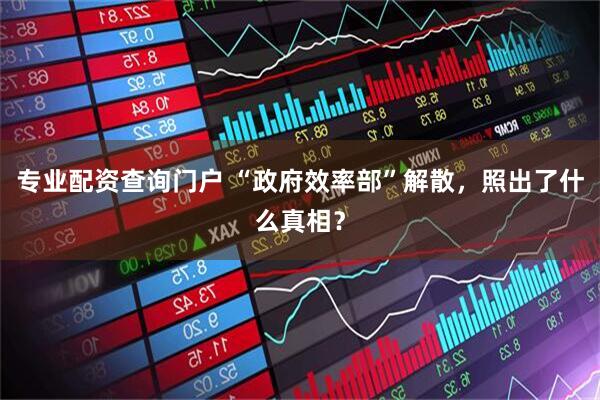专业配资查询门户 “政府效率部”解散，照出了什么真相？